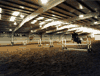 Indoor horse jump staight wall steel building.